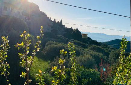 Casa tra gli ulivi a Motta San Giovanni vacanza in Reggio Calabria - Foto 26