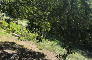 L'Olivier Fleurie Barjols - Foto 71