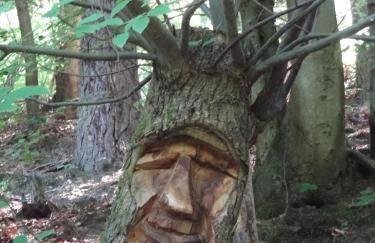 Ferienwohnung Rosentraum - Foto 22