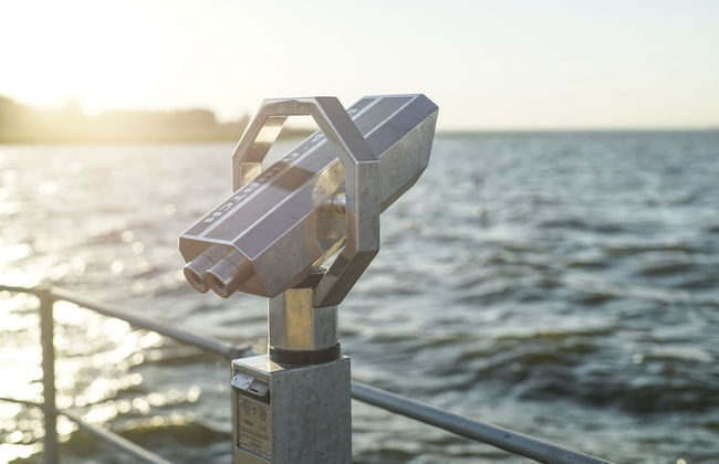 Haff-Ostseeferienhaus - Foto 61