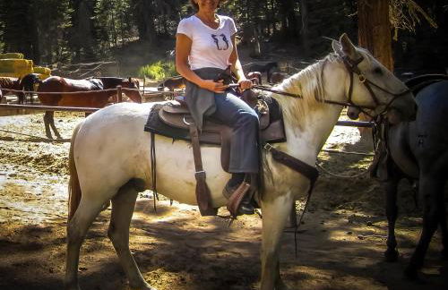 Birdwatch Cottage With River Beach Pass - Photo 34