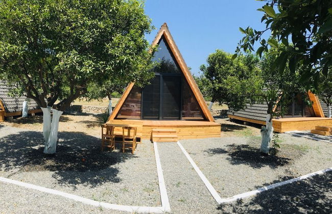 Limon Datca - Foto 3