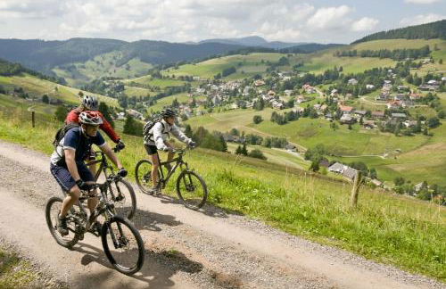 Landhaus Valentin - Foto 45