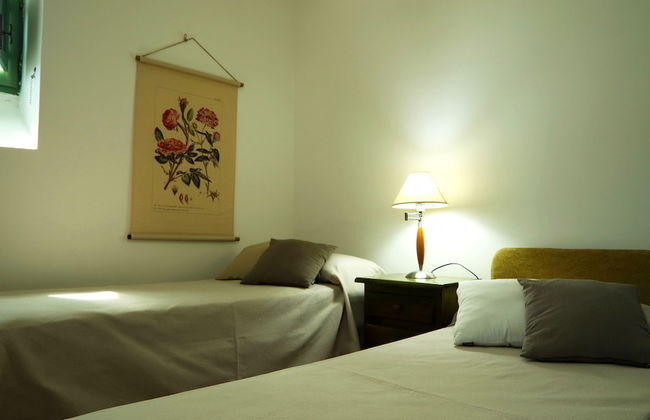 Azienda Agricola Francesca Stajano - Foto 15