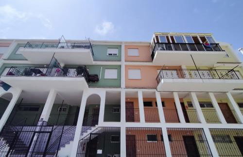 Palm House - Foto 21