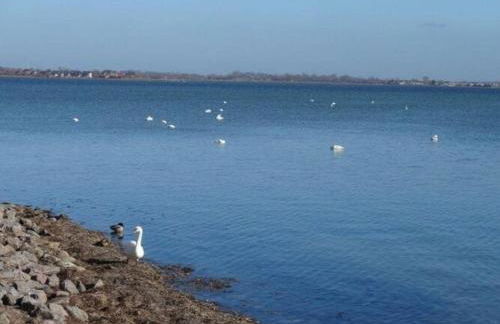 Ferienanlage Orther Reede, Fehmarn-Orth - Foto 70