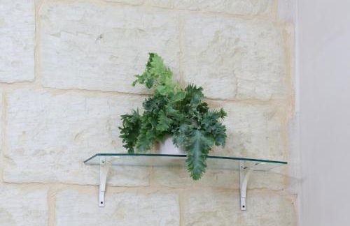 Fiori e follie - Foto 13