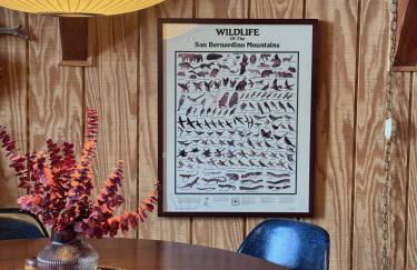 A-Frame with Carousel Fireplace - Foto 33