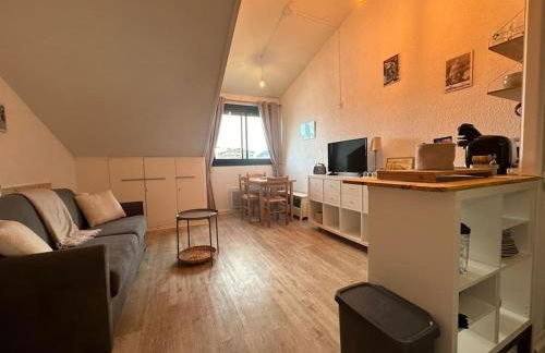 Le petit Marou - Photo 4