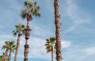 Picasso Premium Apartment - Photo 76