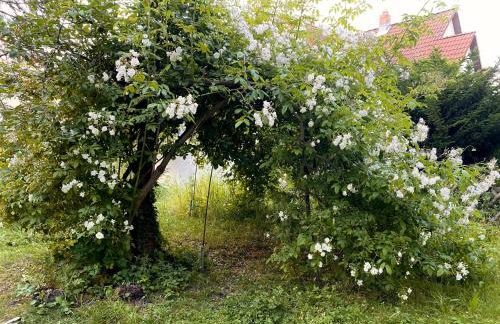 Gronocottage - Foto 45