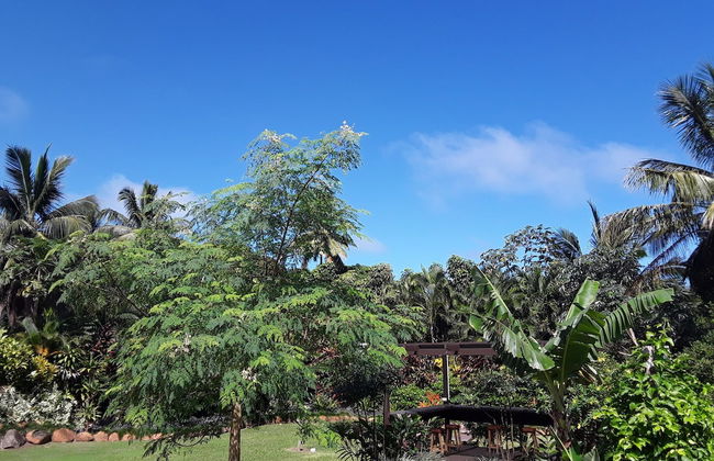 JJ's Retreat - Foto 34