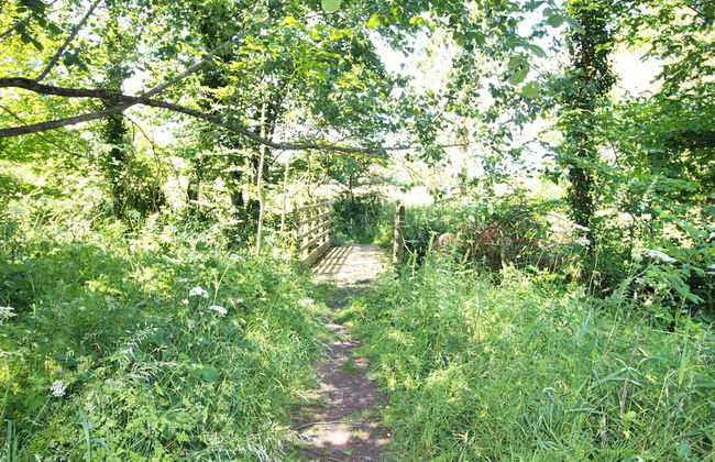 3 Bedrooms - 2 Bath Rooms - Dog Friendly - Parking - Foto 33