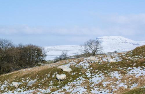 Hazelwood Cottage - Photo 18