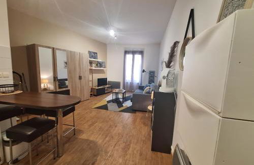 Studio élégant rénové, cœur piéton Evian - Foto 3