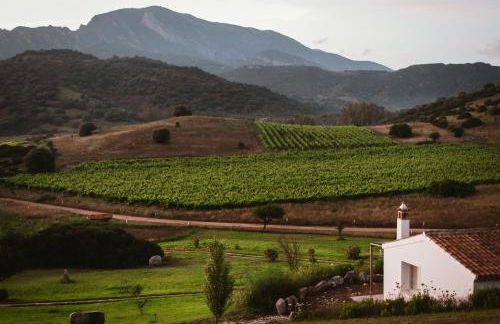 Auberge Santu Martine Cottage with Pool (Ollastru) - Foto 20