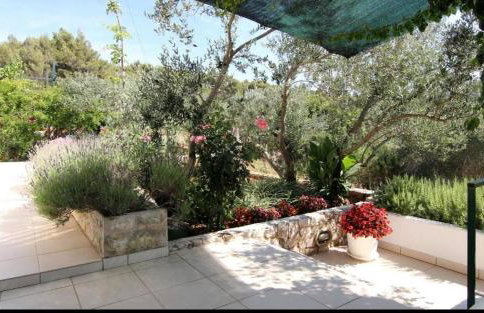 Amphora Deluxe - Foto 33