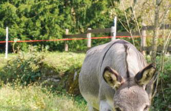 Lunigiana Experience - Foto 9