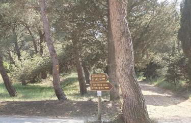 Lumineuse villa au pied de la pinède - Foto 12