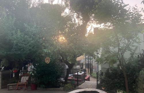 Finca 13 Ramas - Photo 20