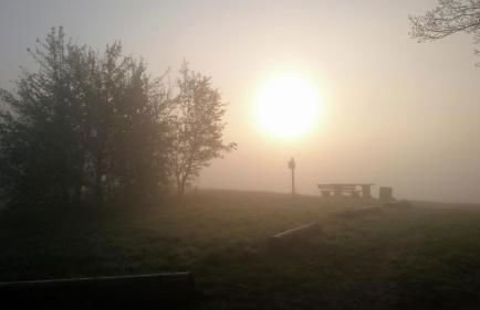 RheinWeinBoppard 2 - mit Rheinblick - Foto 74