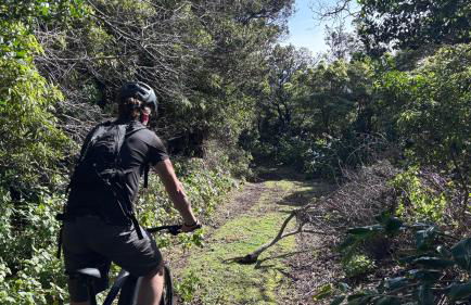 Abrigos Baleeiros Turismo no Espaço Rural - Foto 54