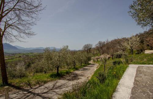 Tenuta Santojanni - Irpinia - Foto 49
