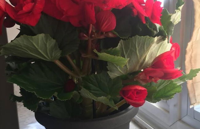 Captivating 2-bed Apartment in Grottole - Foto 23