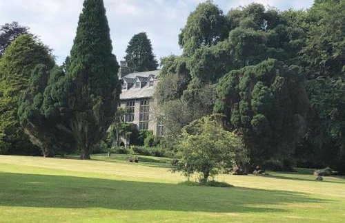 Cornish Holiday - 91 Hengar Manor - Foto 28