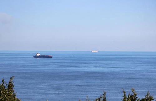 Saltwater Cottage - Foto 30