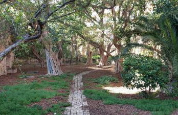 Latom-mare - Foto 34