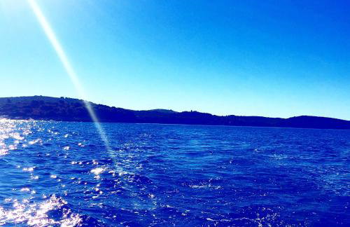 Apartmani blagaic - Photo 6