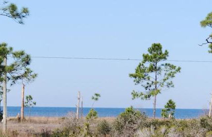 Coastal Dreaming - Beach Retreat - Foto 77