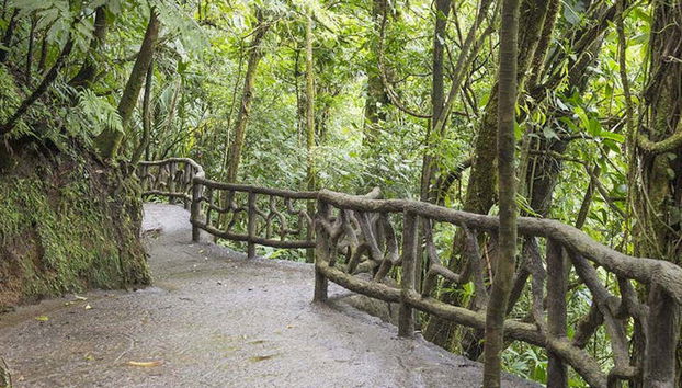 Sentiero del Parco dei Ponti Sospesi