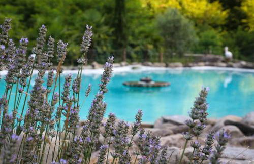 OASI LIGNANA Country Chic Apartments, nestled in a 40-hectare estate - Foto 19