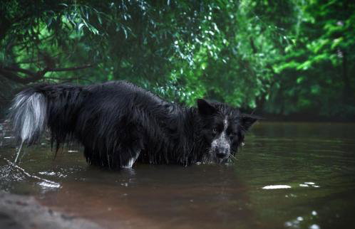 Ferienwohnung Am Stadtpark - Foto 31