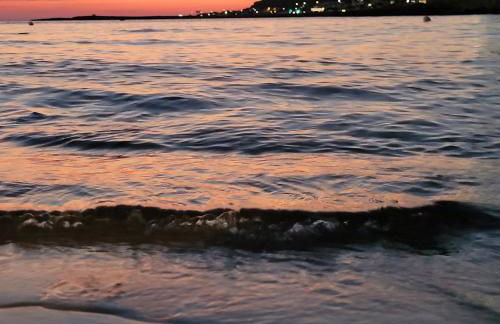 Donna Cecilia - Foto 21