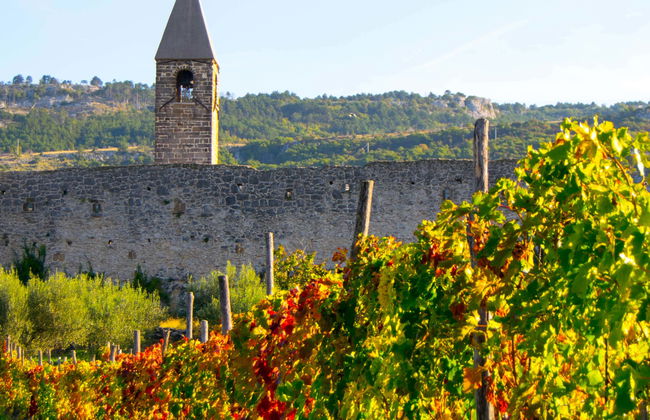 Socerb, Hrastovlje & Marezige Day Trip - Foto 6