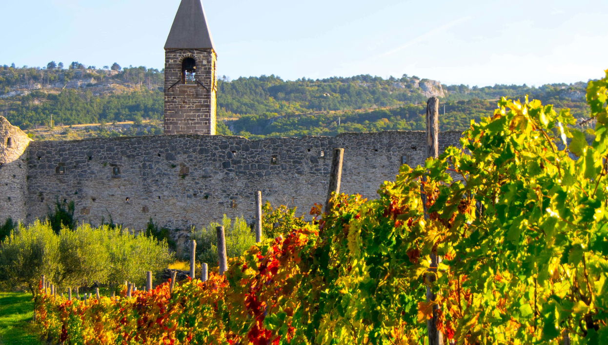 Excursión a Socerb, Hrastovlje y Marezige