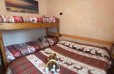 Appartamento Cuore delle Alpi - Foto 14