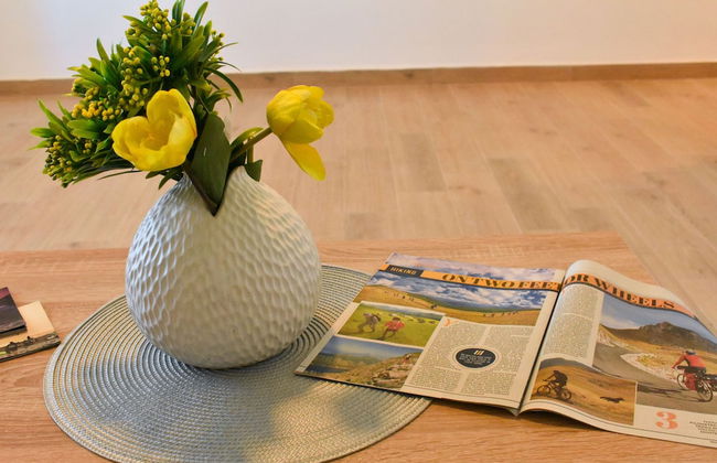 Apartments Aristokrata - Foto 27