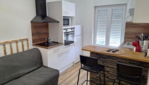 Grand T2 lumineux 2 pers Olivet Avenue Loiret - Photo 4, toaster