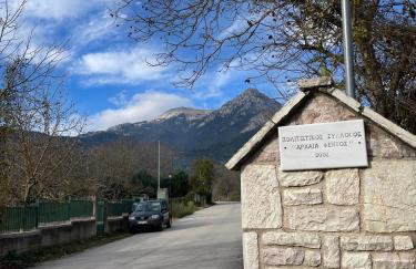 The Lake house Feneos - Foto 36