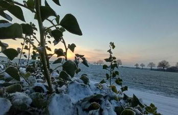 zum Kranichblick - Foto 3