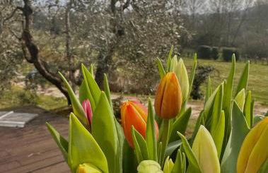 Holiday Home Sovenigo - Foto 2