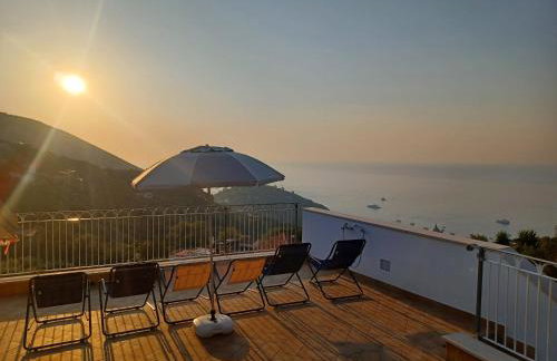 Rosa House - Photo 48