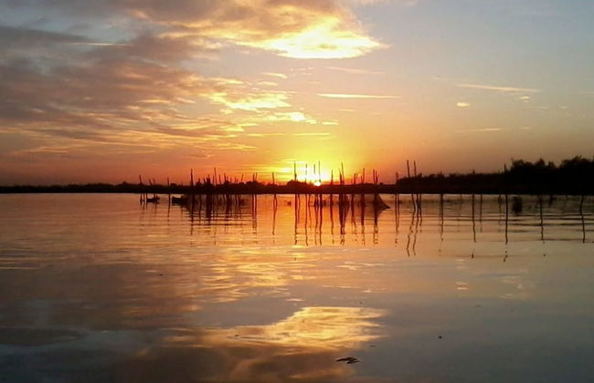 Agriturismo La Barena - Photo 56