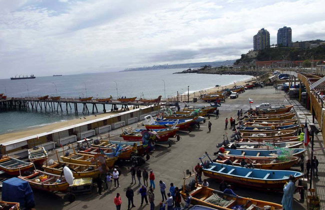 Tour por Valparaíso para cruceros - Foto 1