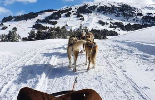 Charmant Studio idéalement situé - Foto 9