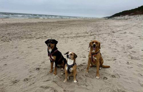 Ferienhaus Sieroslaw polnische Ostsee mit Kamin - Photo 26